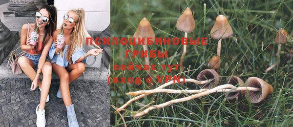 Альфа ПВП Волоколамск