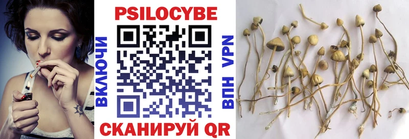 Галлюциногенные грибы Magic Shrooms  Купить  Кремёнки 